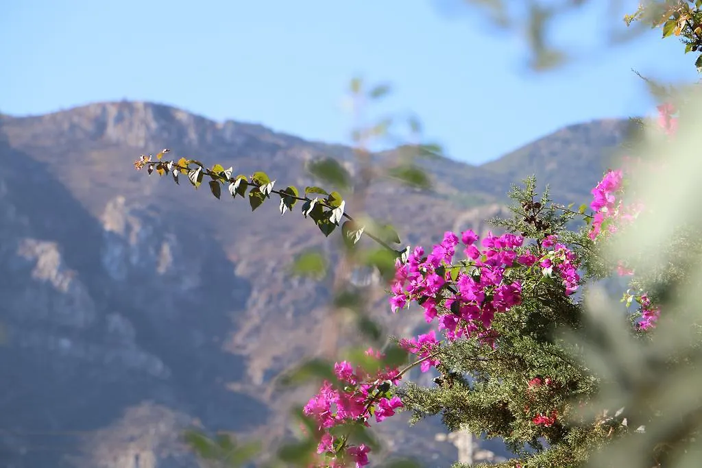 Casa Vacanze Al Ma Gi Villa Castellammare del Golfo Holiday home